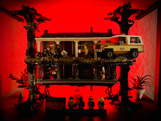 The Upside Down House
